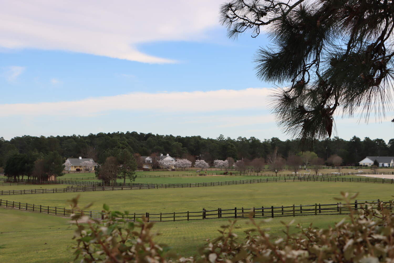 Braden Place Discover the charm of Southern Pines