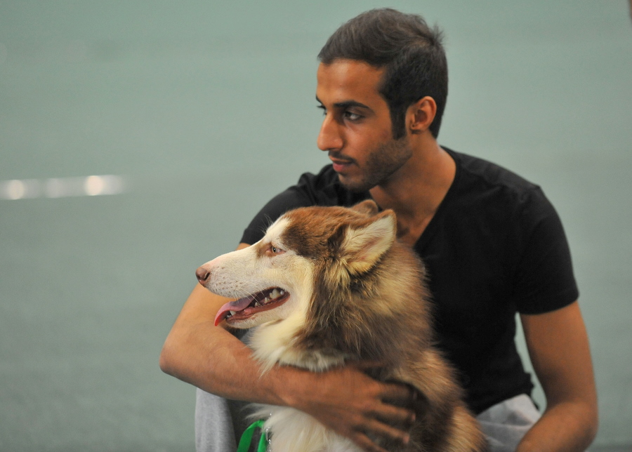 UAE dog tales Expats adopt, Emiratis breed News Emirates Emirates247