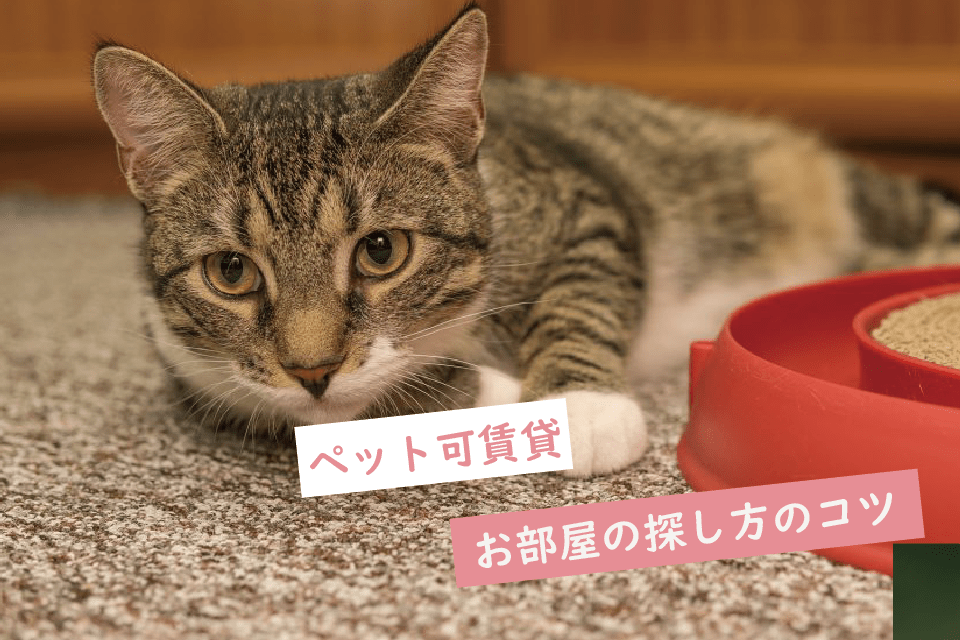 セツサチアキ equall LIFE