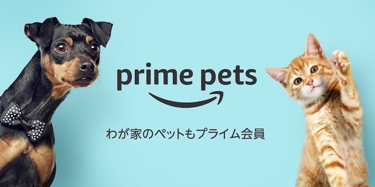 割引特典や獣医師への相談も無料！AmazonPrimePet(アマゾンプライムペット)を解説 equall LIFE