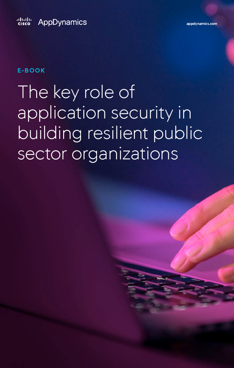 Application Security in Public Sector