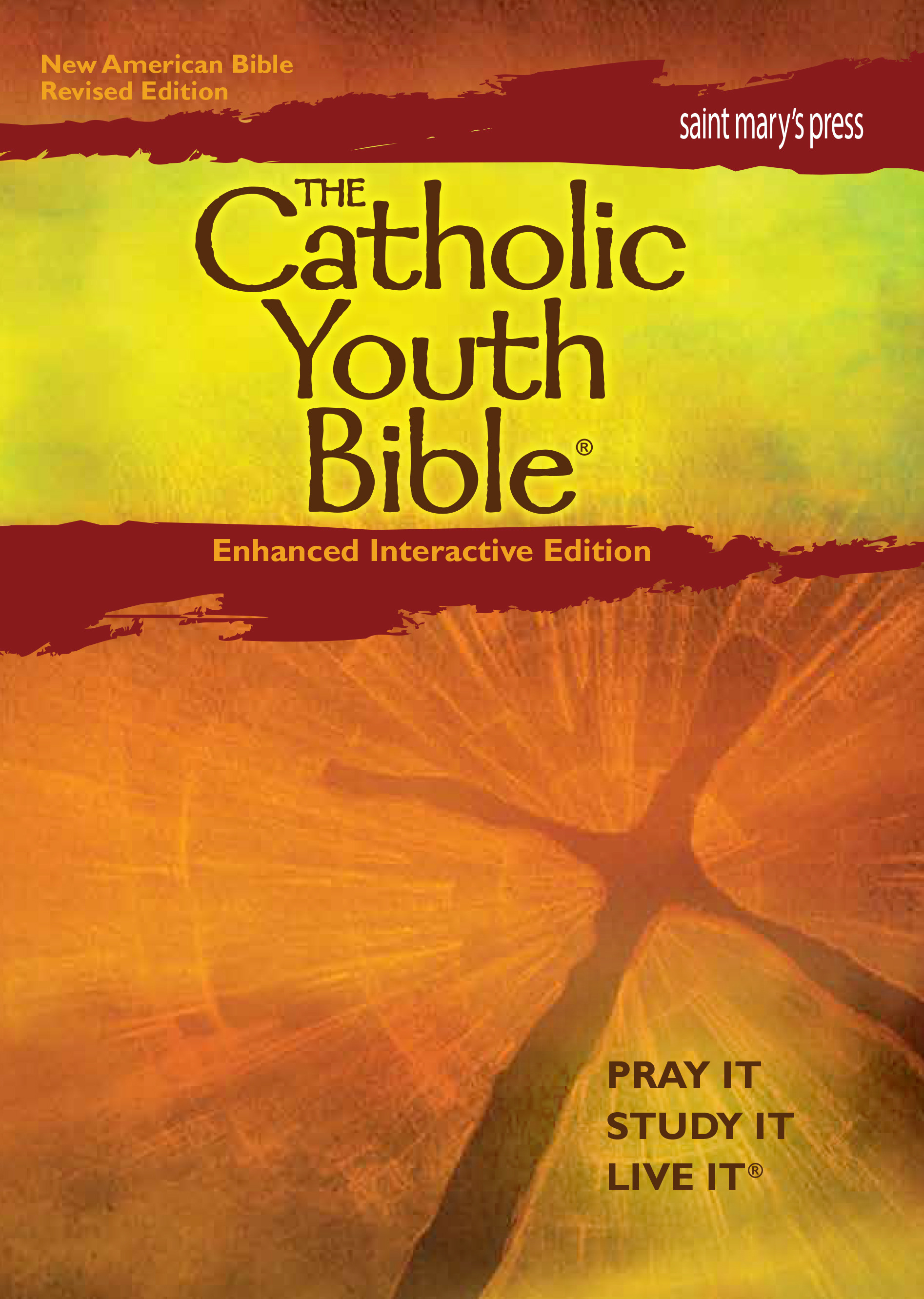 The Catholic Youth Bible®, Enhanced Interactive Edition (NABRE) ebook