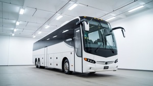 Charter Bus Surprise - Surprise, AZ - Limousine