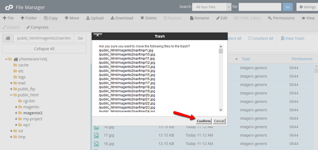 How to see the Inode Usage via cPanel Account Optimization