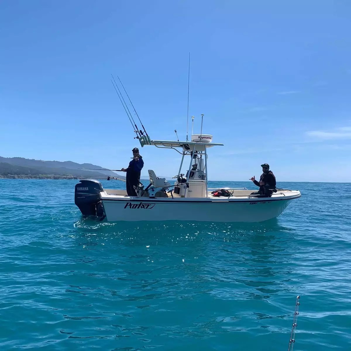 Damselfly Bodega Bay, CA Captain Ty Taube