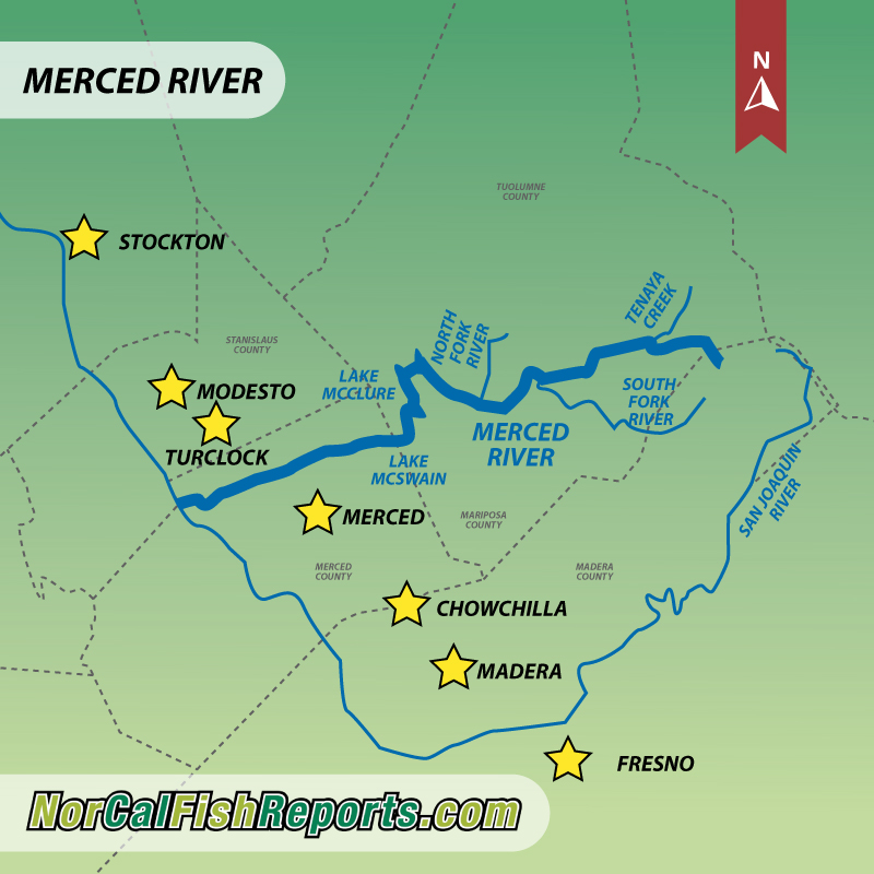 Merced River South Fork Hite Cove Mariposa County, CA Fish