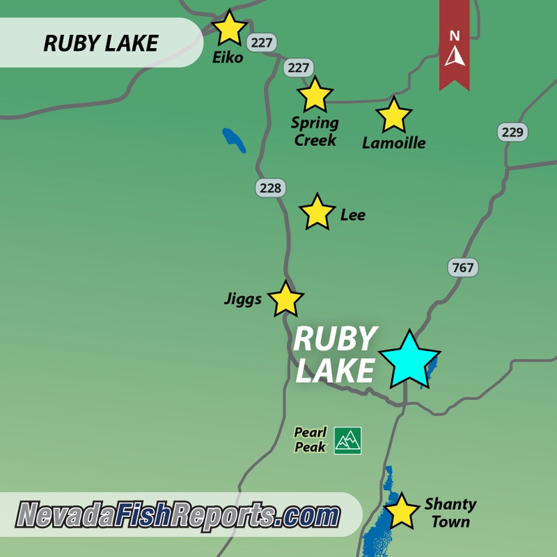 Ruby Lake NWR Fish Report Elko, NV (Elko County)