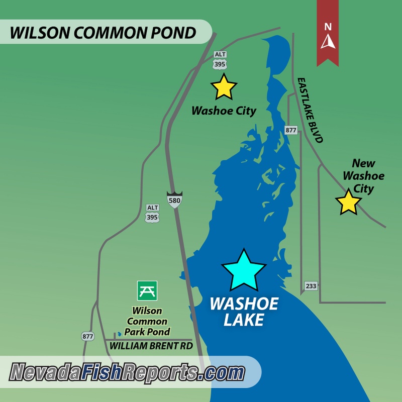 Wilson Common Pond Fish Reports & Map