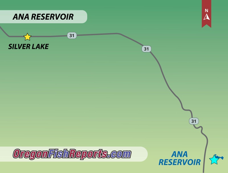 Lake Anna Fishing Map Ana Reservoir Fish Reports & Map