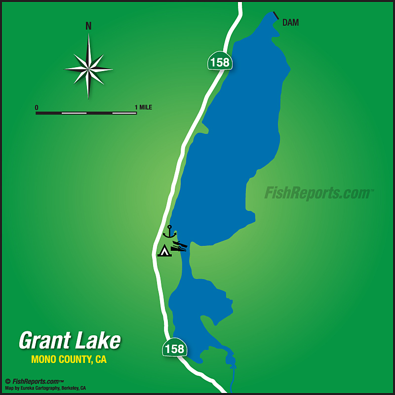 Grant Lake Fish Reports & Map