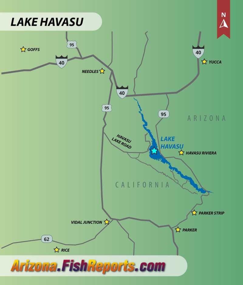 Lake Havasu Fish Reports & Map