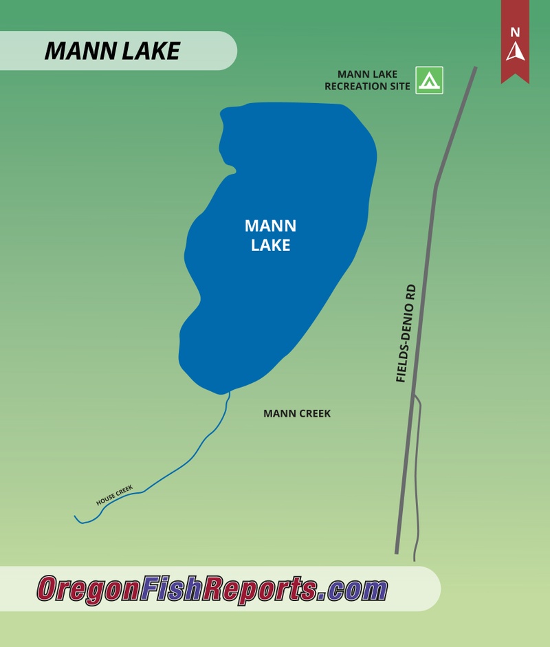 Mann Lake Fish Reports & Map