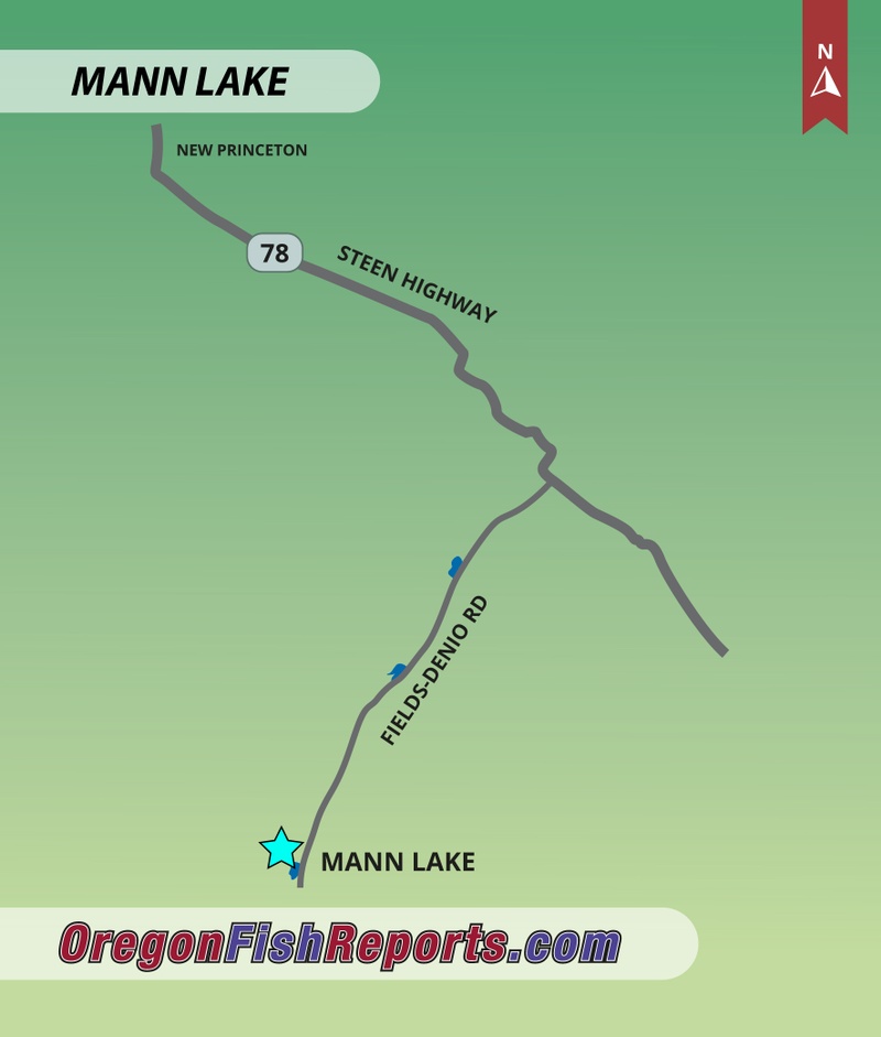 Mann Lake Fish Reports & Map