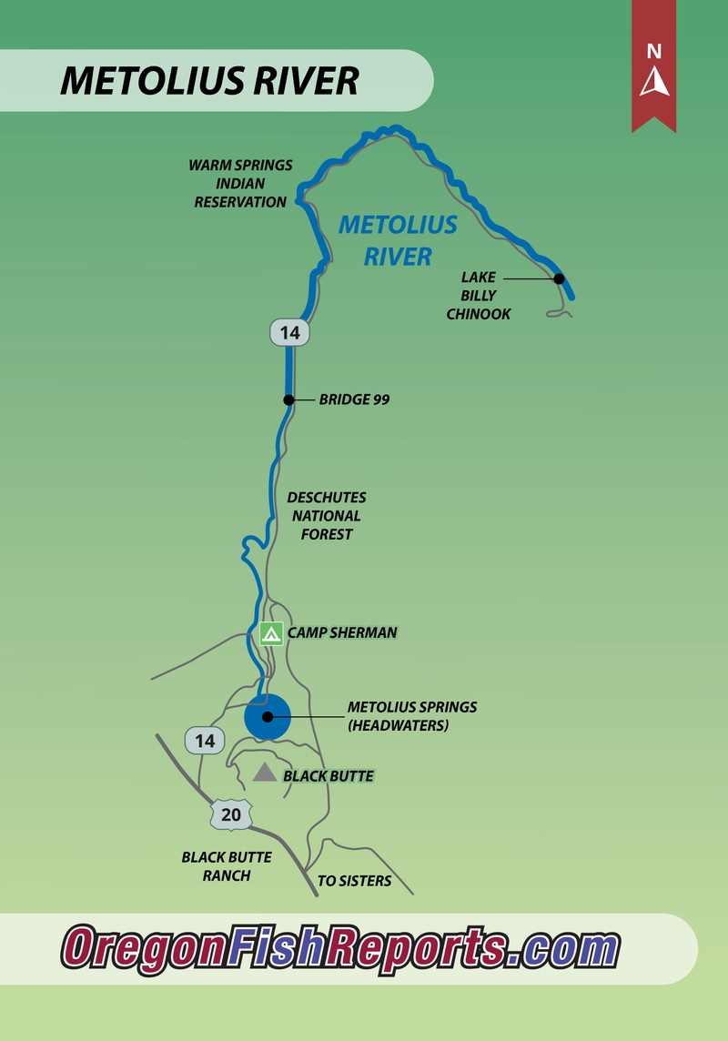 Metolius River Oregon Map Metolius River Fish Reports & Map