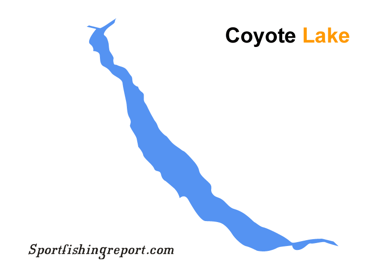 Coyote Lake Fish Report Gilroy, CA (Santa Clara County)