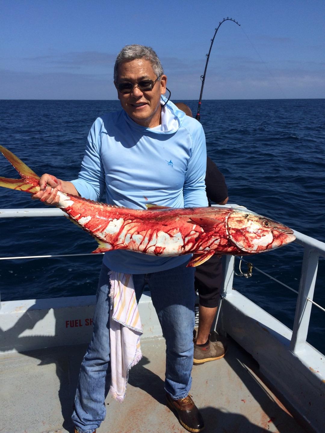 Redondo Beach Sportfishing Fish Counts