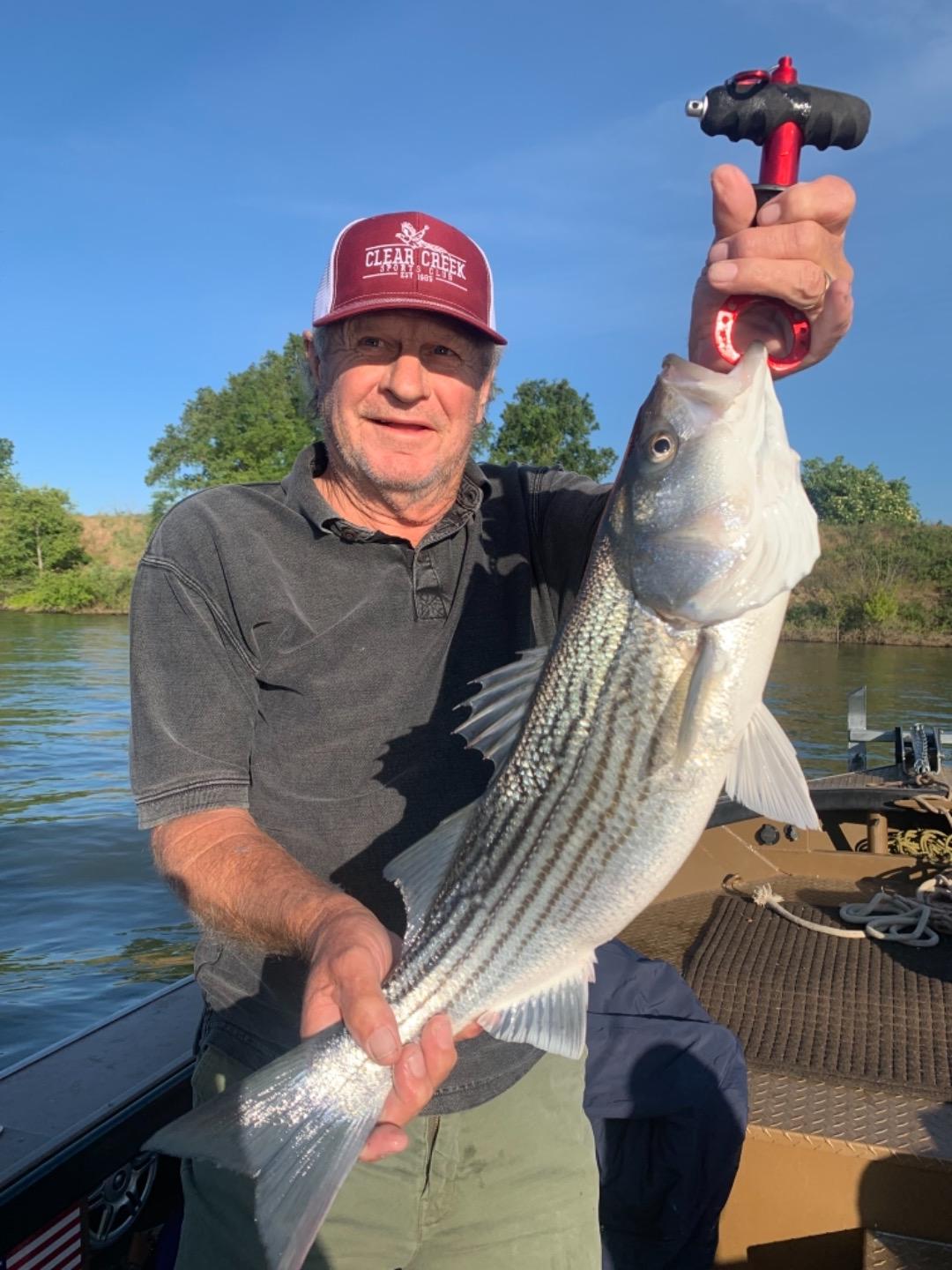Feather River Fish Report Feather River Epic fishing striped bass