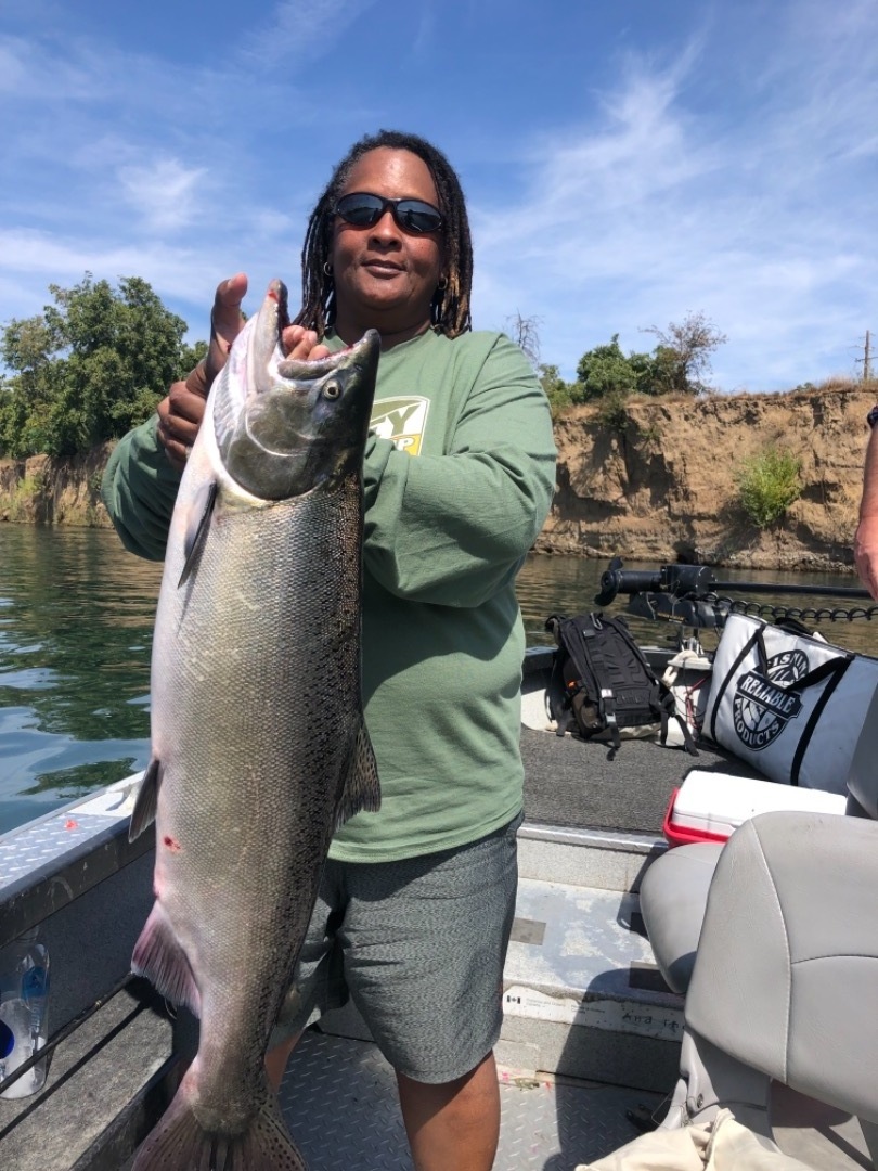 Sacramento River Fish Report Sacramento River King Salmon Fishing