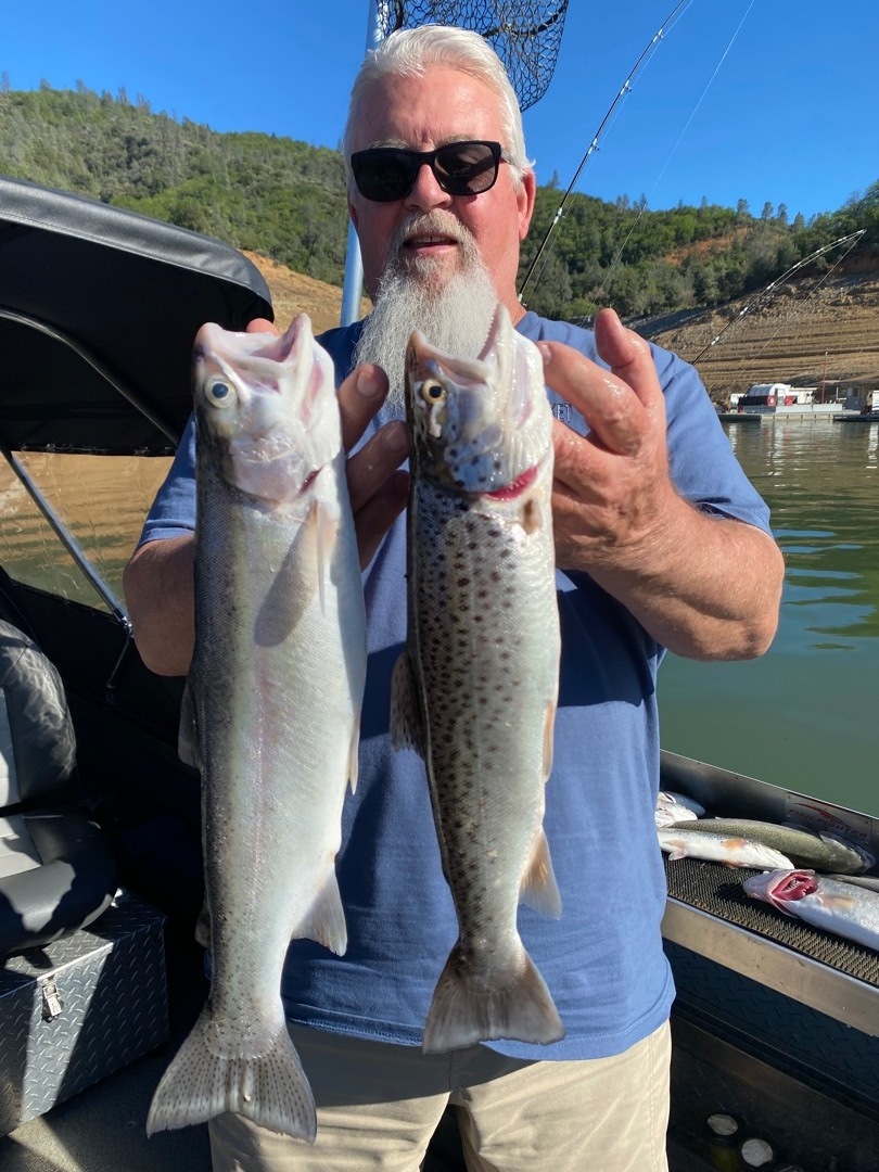 Shasta Lake Fish Report Shasta Lake Shasta Lake trout fishing