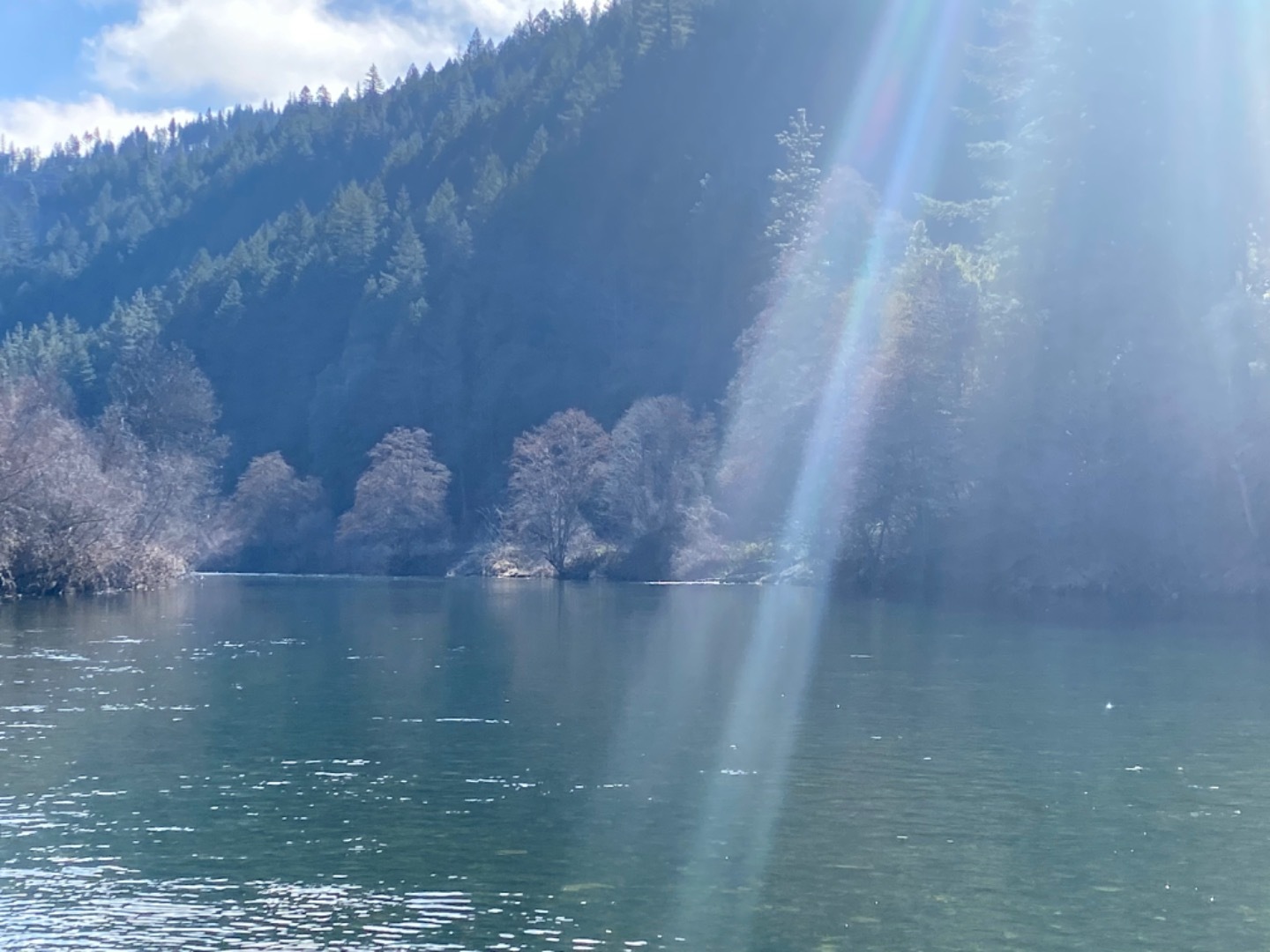 Trinity River Fish Report Trinity River Trinity River steelhead