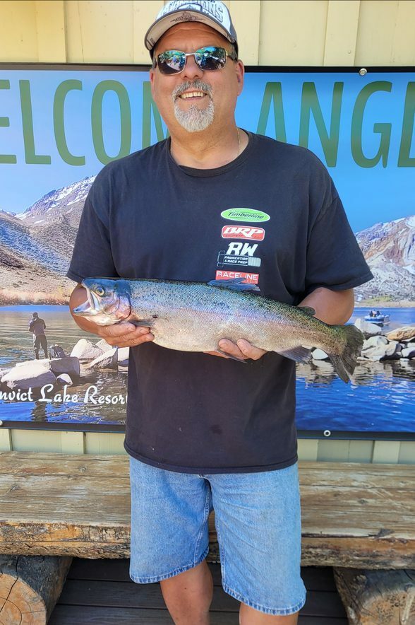 Convict Creek Fish Report Mammoth Lakes, CA (Mono County)