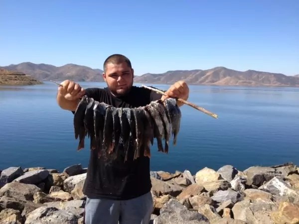 Diamond Valley Lake Fish Report Hemet, CA (Riverside County)