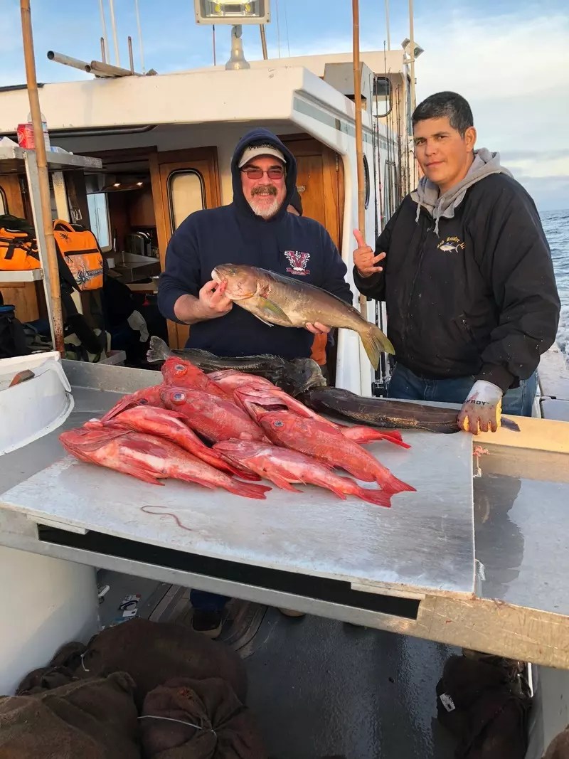 Fish Report Ventura Sportfishing Landing Report