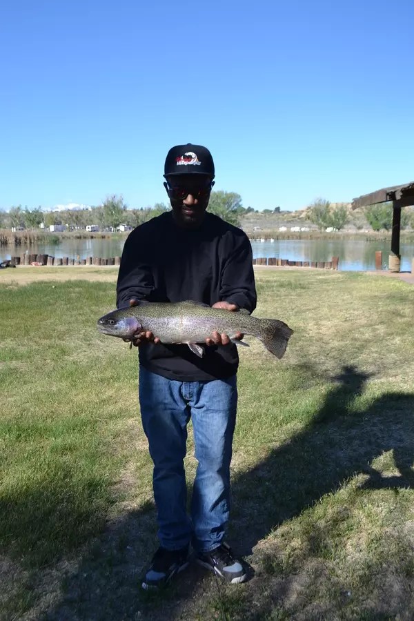 Mojave Narrows Park Lake Fish Report Victorville, CA (San Bernardino