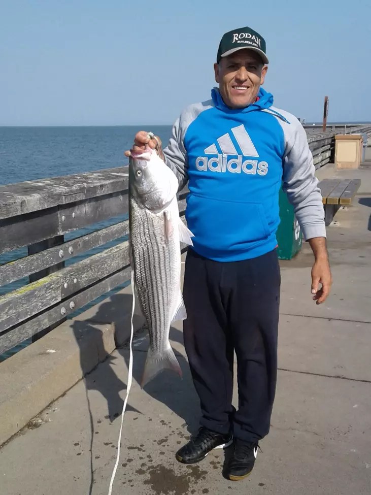 Fish Report PT. Pinole Pier Fishing Report September 7, 2018
