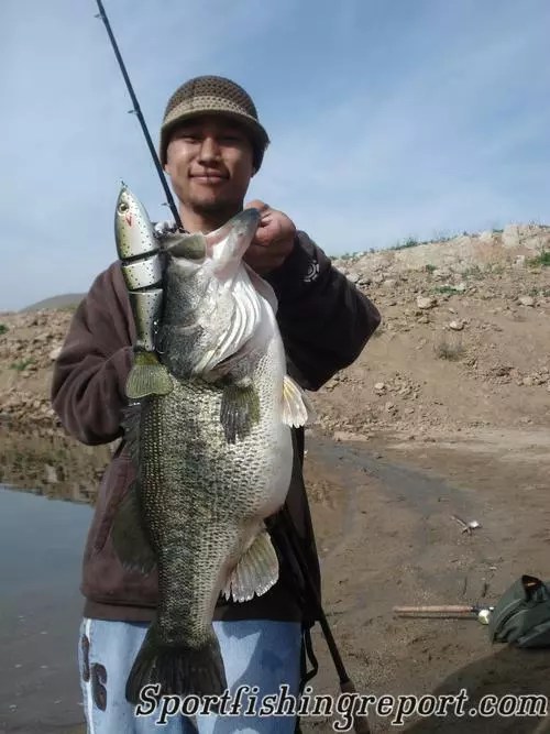 Diamond Valley Lake Fish Report Hemet, CA (Riverside County)