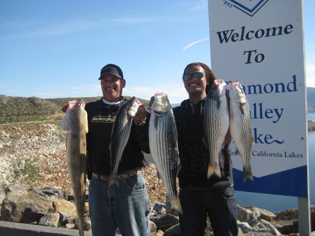 Diamond Valley Lake Fish Report Hemet, CA (Riverside County)