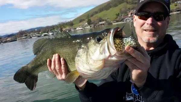 Clear Lake Fish Report Clearlake, CA (Lake County)