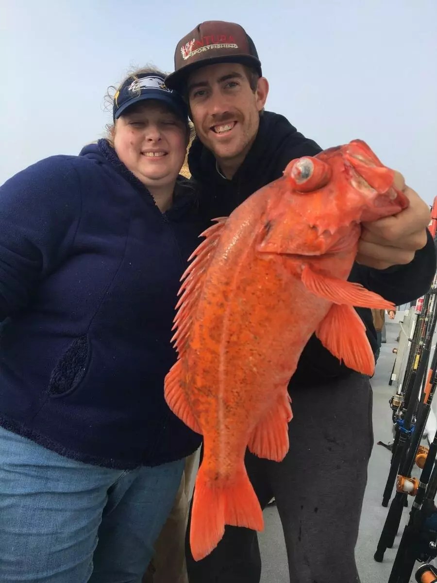 Island Spirit Great Quality Rockfish Limits!