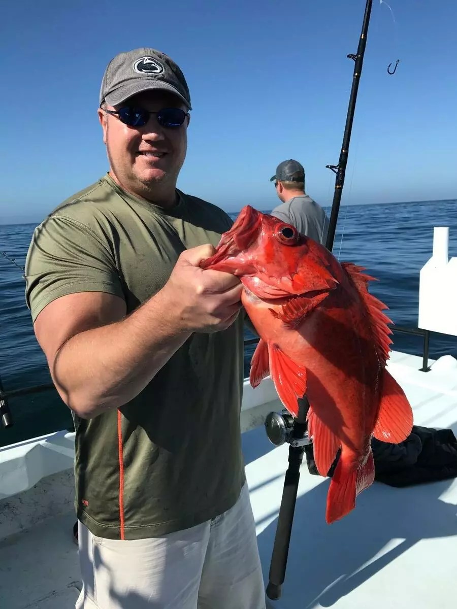 Rock Steady Coastal Rock Fishing
