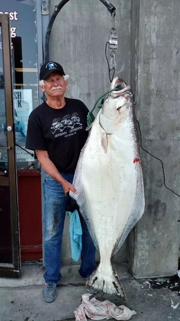 Eureka Coast Fish Report Saltwater Report Pacific halibut bite