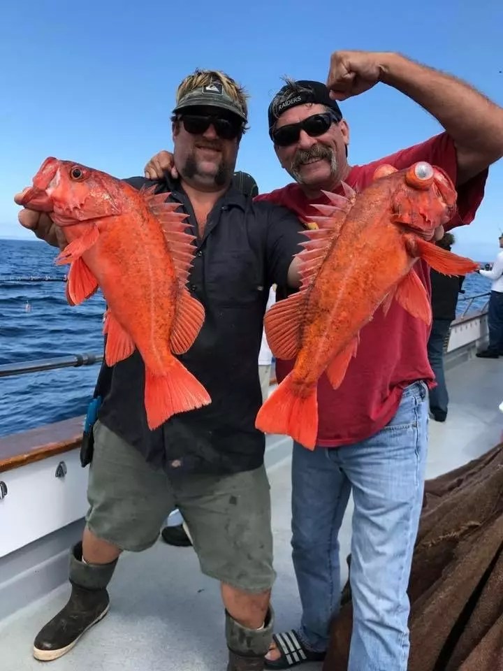 Coral Sea Great Fishing Islands for ROCKFISH