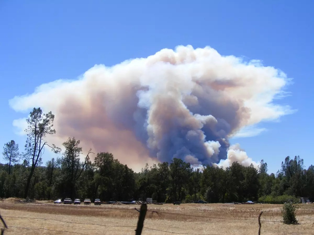 Outdoors Human Caused Wildfires