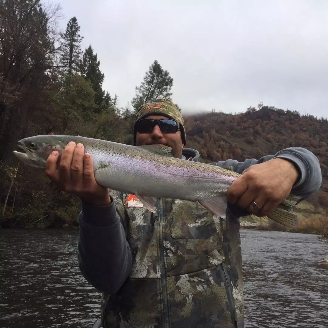 Trinity River Fish Report Douglas City, CA