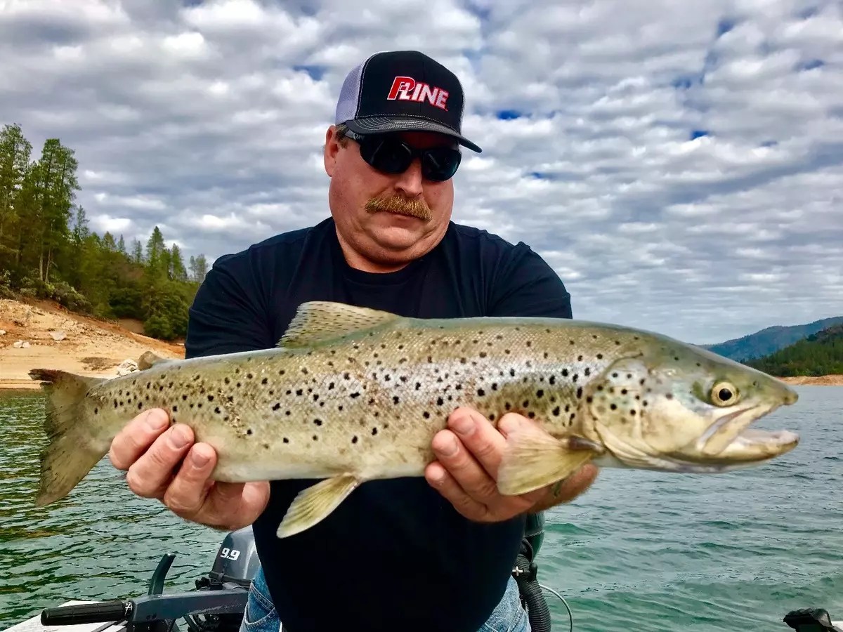 Fishing Shasta Lake brown trout!