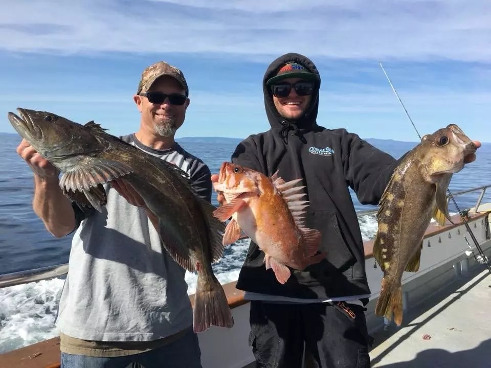 Stardust Rockfish Limits Channel Islands