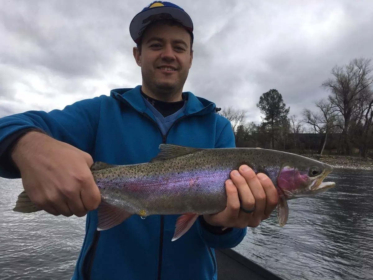 Fishing Big trout are hitting!