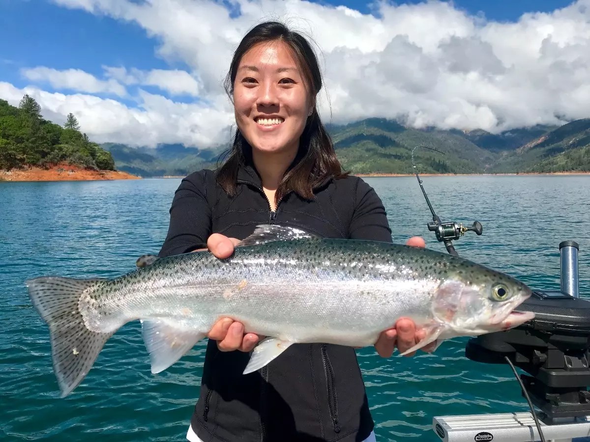 Shasta Lake Fish Report Shasta Lake, CA (Shasta County)