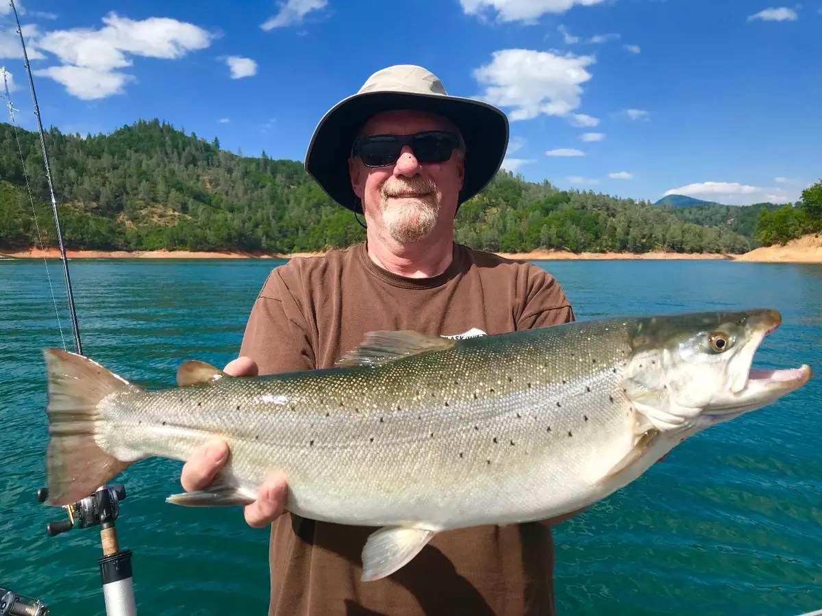 Fishing Shasta Lake browns are still in town!
