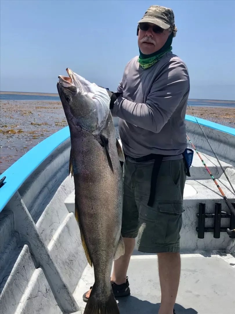 Fish Report White Sea Bass