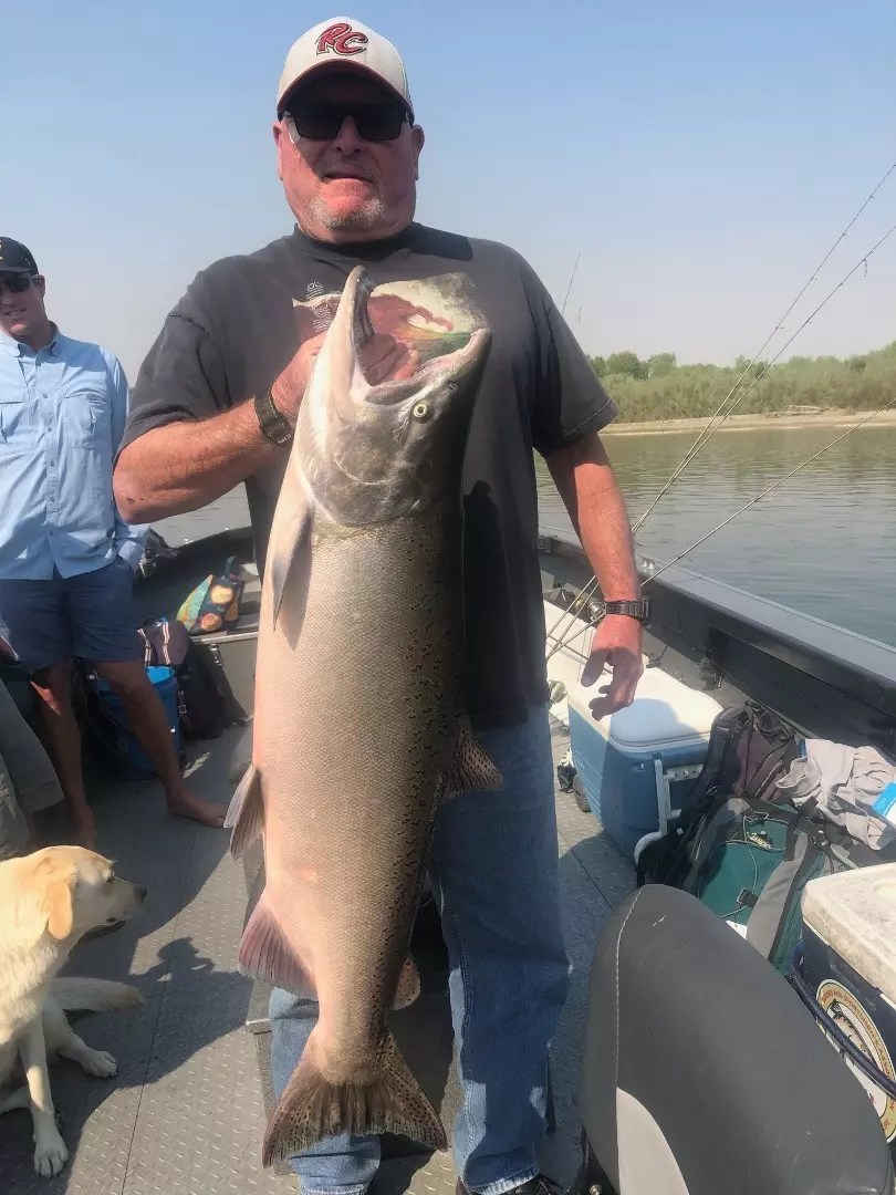 Fishing Limits of king salmon