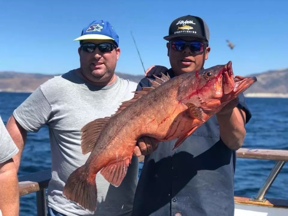 Coral Sea Full Speed Rockfish Limits!