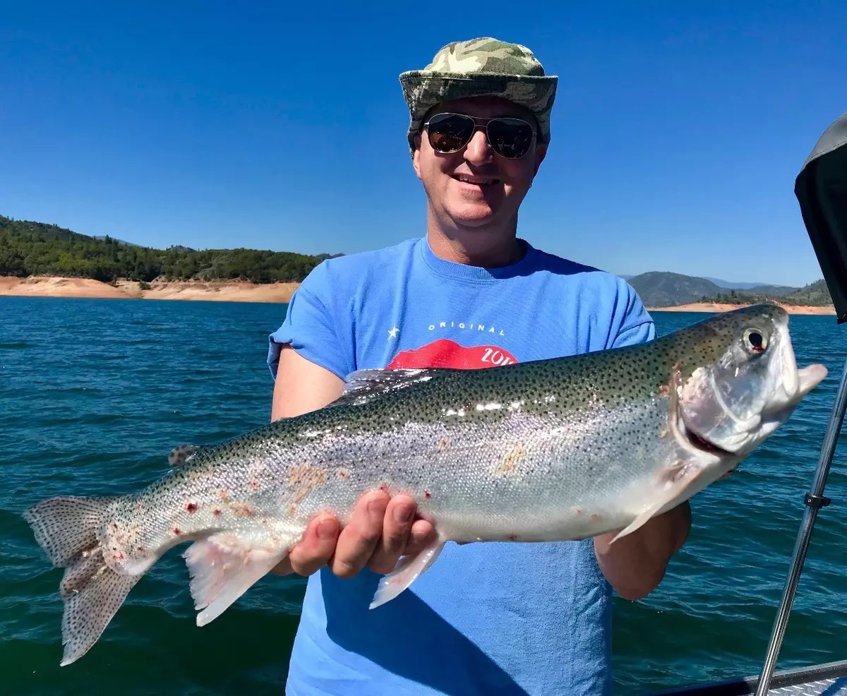 Sacramento River Fish Report Sacramento River Shasta Lake trout