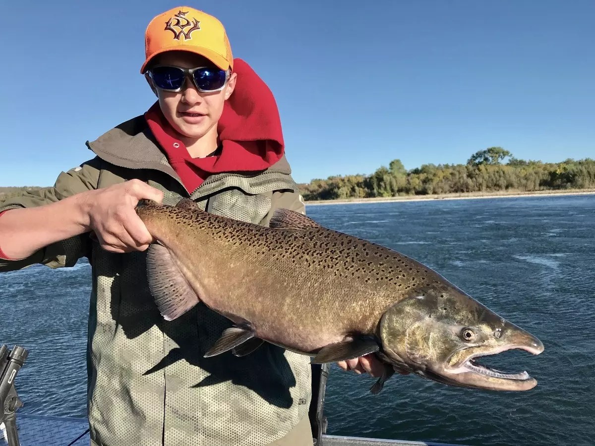 Sacramento River Fishing Report All About Fishing