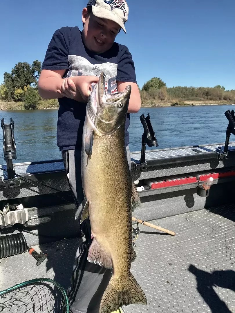 Sacramento River Fish Report Sacramento River Sacramento River
