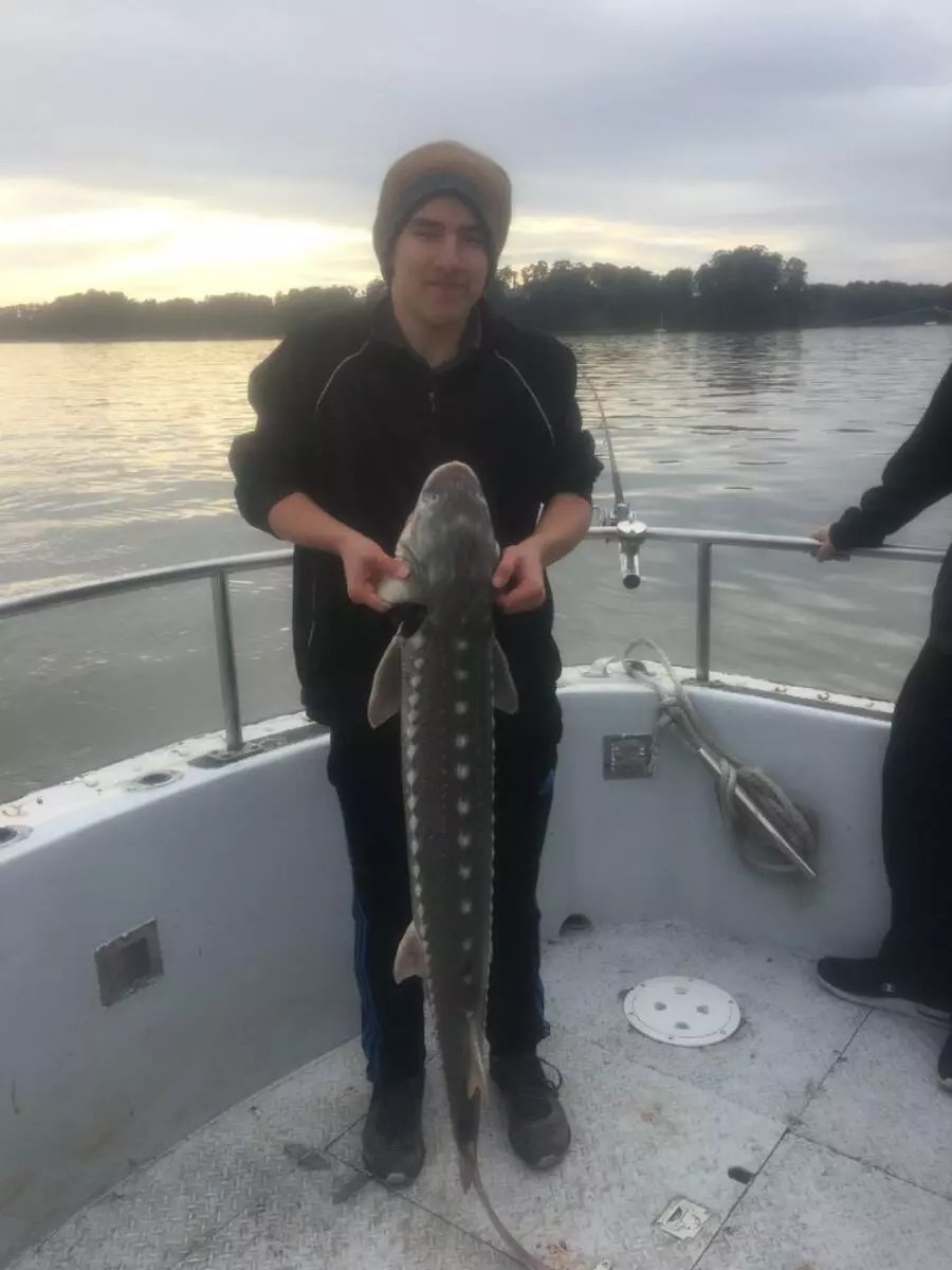 Ms Marin Fish Report Ms Marin San Pablo bay sturgeon December 22